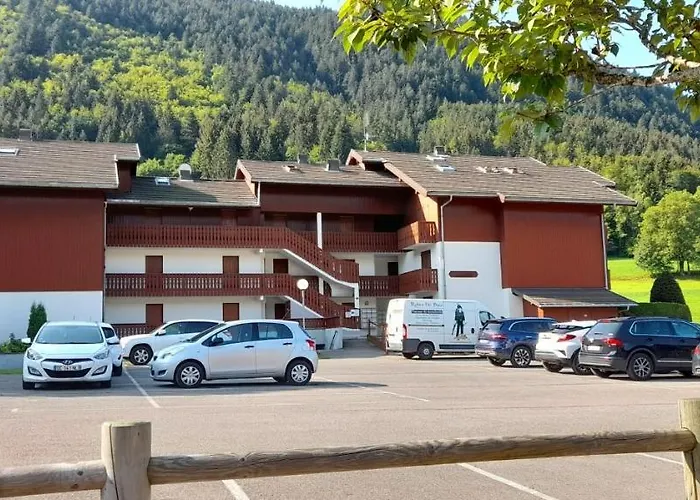 Bernex Studio Au Calme Parking Prive